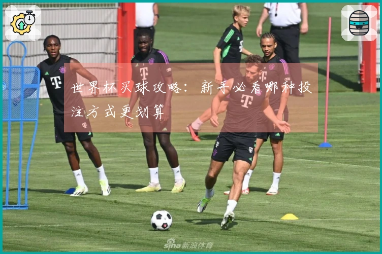 世界杯买球攻略：新手必看哪种投注方式更划算