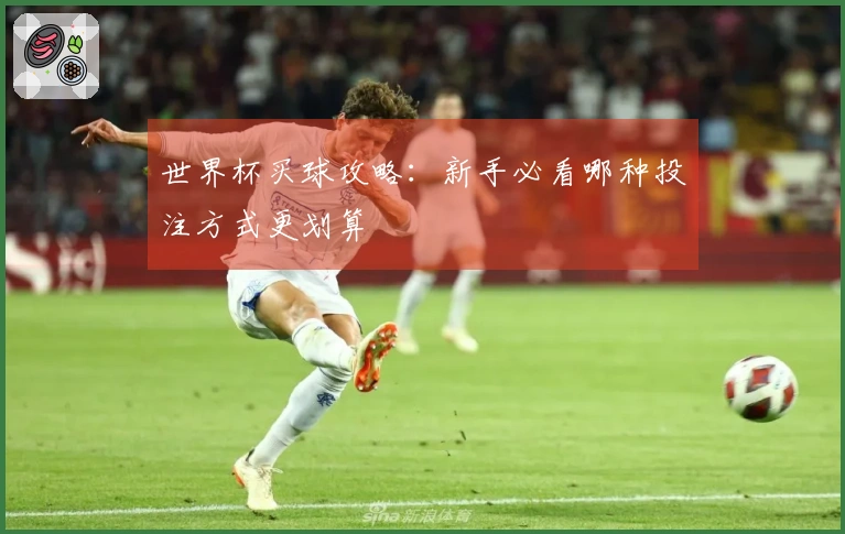 世界杯买球攻略：新手必看哪种投注方式更划算