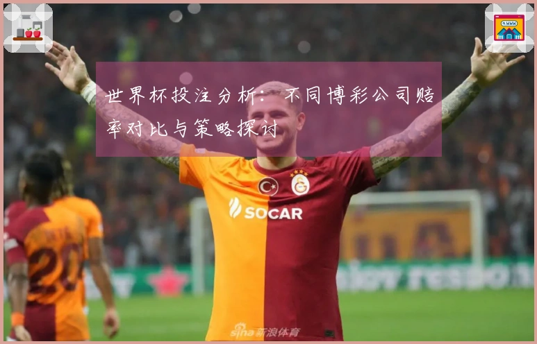世界杯投注分析：不同博彩公司赔率对比与策略探讨