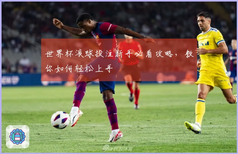 世界杯滚球投注新手必看攻略，教你如何轻松上手