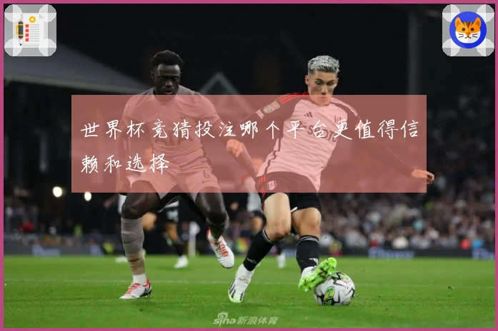 世界杯竞猜投注哪个平台更值得信赖和选择