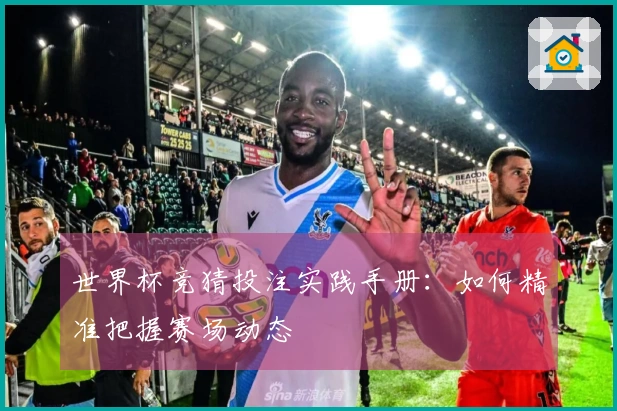 世界杯竞猜投注实践手册：如何精准把握赛场动态