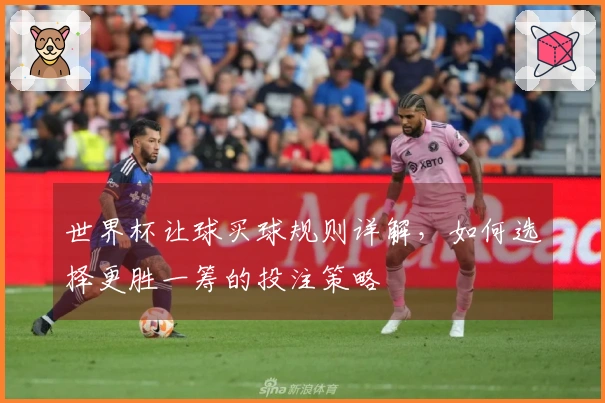 世界杯让球买球规则详解，如何选择更胜一筹的投注策略