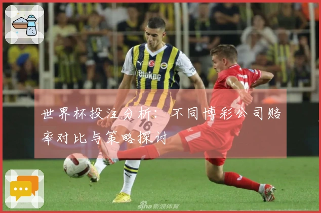 世界杯投注分析：不同博彩公司赔率对比与策略探讨